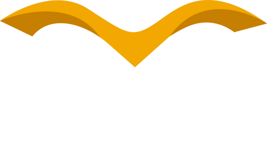 Social Media Management